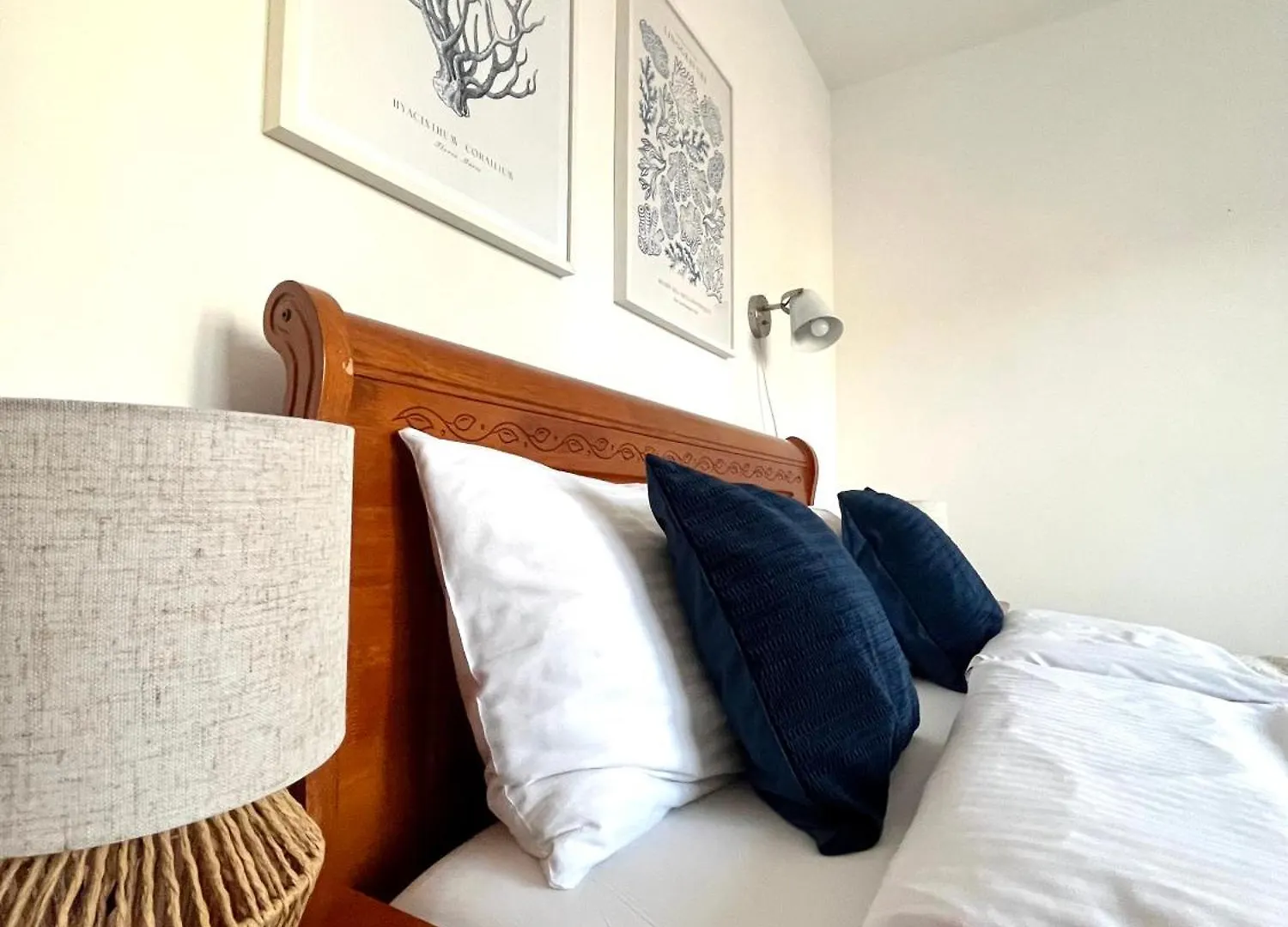Agapella Apartamemty- Villa Agapella 250M From The Beach 소포트 게스트하우스